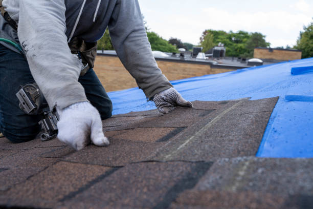 Best Flat Roof Repair Services  in Camanche, IA