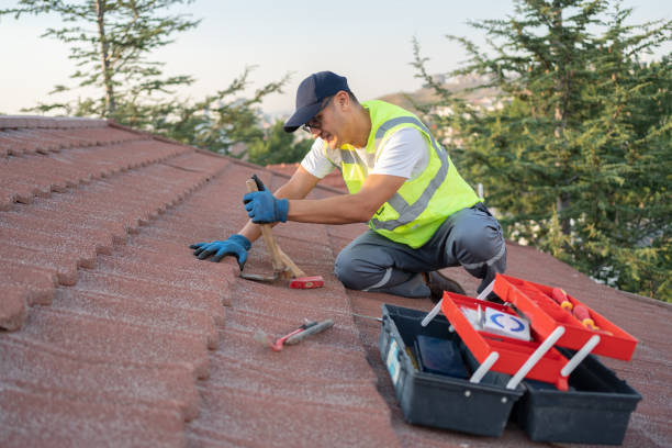 Best Roof Maintenance Services  in Camanche, IA