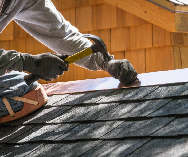 Best Roof Leak Repair  in Camanche, IA